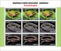 Amphibian & Reptile Conservation - Amphibians
