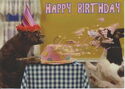 Happy Birthday - Cat and Dog