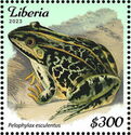 Pelophylax esculentus