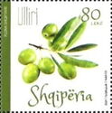 Olive Cultivation in Albania