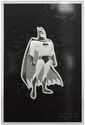 1 Dollar (Batman: The animated series - Silver engraved ✦✦✦)