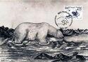 Polar Bear (Ursus maritimus)