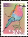 Lilac-brested Roller (Coracias caudata)
