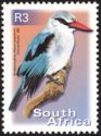 Woodland Kingfisher (Halcyon senegalensis)