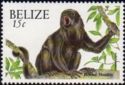 Central American Black Howler Monkey (Alouatta pigra)