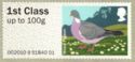 Wood Pigeon (Columba palumbus)
