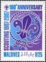 100th Anniversary of Scouting