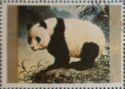 Giant Panda (Ailuropoda melanoleuca)