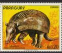 Giant Armadillo (Pridontes giganteus)