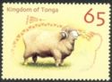 Domestic Sheep (Ovis aries)
