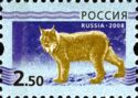 Eurasian Lynx (Lynx lynx)