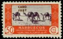 Dromedary (Camelus dromedarius)