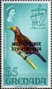Spectacled Thrush (Turdus nudigenis)