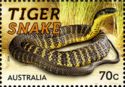 Tiger Snake (Notechis scutatum)