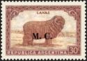 Merino Sheep (Ovis aries), ovpt. "M.G."