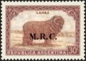 Merino Sheep (Ovis aries)