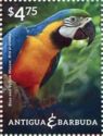 Blue-and-yellow Macaw (Ara ararauna)