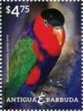 Black-capped Lory (Lorius lory)