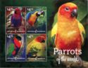 Parrots of the World (1)