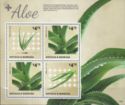 Aloe (2)
