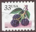 Fruit Berries: Blackberries