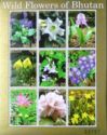 Wild Flowers of Bhutan