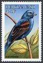 Blue Grosbeak (Guiraca caerulea)
