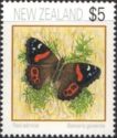 New Zealand Red Admiral (Bassaris gonerilla)