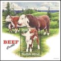 Beef Cattle