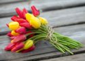 Tulips