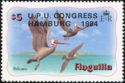 Brown Pelican (Pelecanus occidentalis) - Overprinted