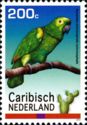 Yellow-crowned Parrot (Amazona ochrocephala ochrocephala)