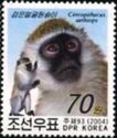 Grivet (Cercopithecus aethiops)
