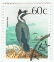 Spotted Shag (Phalacrocorax punctatus)