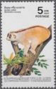 Sunda Slow Loris (Nycticebus coucang)