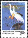International Crane Workshop, Bharatpur