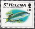 St. Helena wrasse (Thalassoma sanctaehelenae)