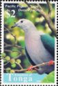 Pacific Pigeon (Ducula pacifica)