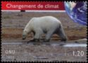 Polar Bear (Ursus maritimus)