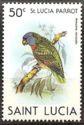 St. Lucia Parrot (Amazona versicolor)