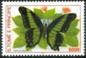 Broad Green-Banded Swallowtail (Papilio bromius)