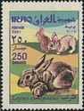 European Hare (Lepus europaeus)
