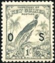 Raggiana Bird-of-paradise (Paradisaea raggiana) Overprinted