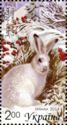 Mountain Hare (Lepus timidus)
