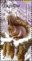 Eurasian Red Squirrel (Sciurus vulgaris)