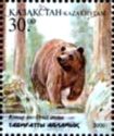 Brown Bear (Ursus arctos)