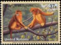 Golden Snub-nosed Monkey (Rhinopithecus roxellana)