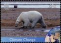 Polar Bear (Ursus maritimus)