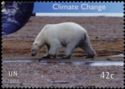 Polar Bear (Ursus maritimus)