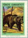 Brown Bear (Ursus arctos)